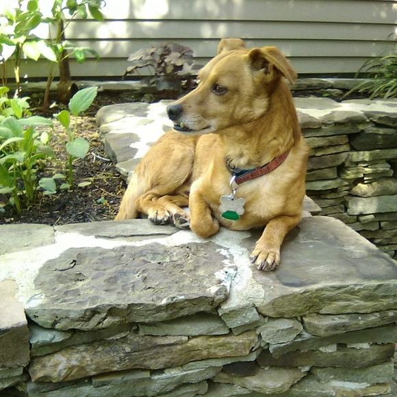 Meet your Posher, Mike - Picture 4 of 10